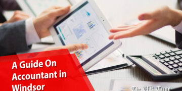 accountant in Windsor