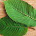 Kratom
