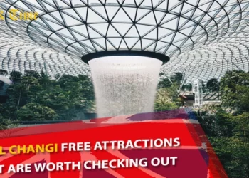 Jewel Changi Free Attractions That Are Worth Checking Out
