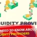 All You Need to know About Liquidity Providers