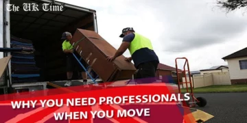 Why You Need Professionals When You Move