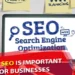 Why SEO is Important for Businesses