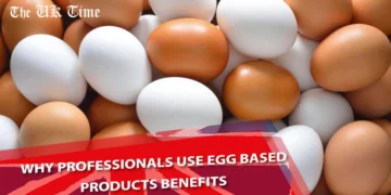 Why Professionals Use Egg Based Products Benefits