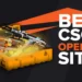 cases for free