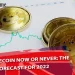 Dogecoin Cryptocurrency