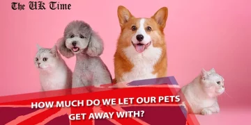 Our pets