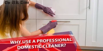 Domestic Cleaner