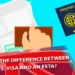 U.S Visa and an ESTA
