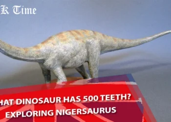What Dinosaur Has 500 Teeth?