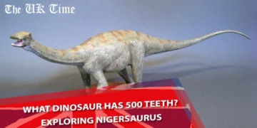 What Dinosaur Has 500 Teeth?