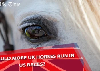 UK Horses