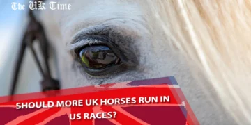UK Horses