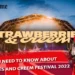 Strawberries and Creem festival 2022