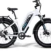 Ebikes from Magicycle