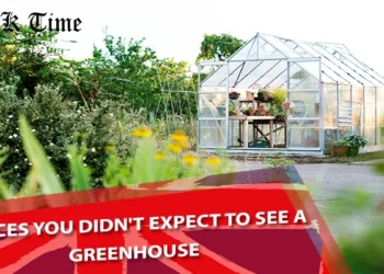 Greenhouse
