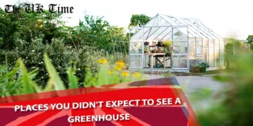 Greenhouse