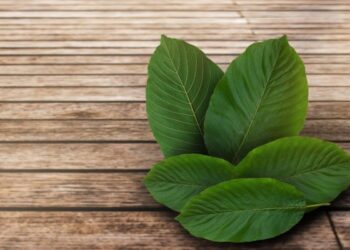 Gold Kratom