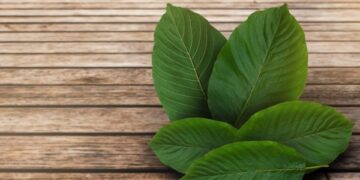 Gold Kratom