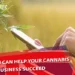 Your Cannabis Business