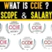 Cisco CCIE