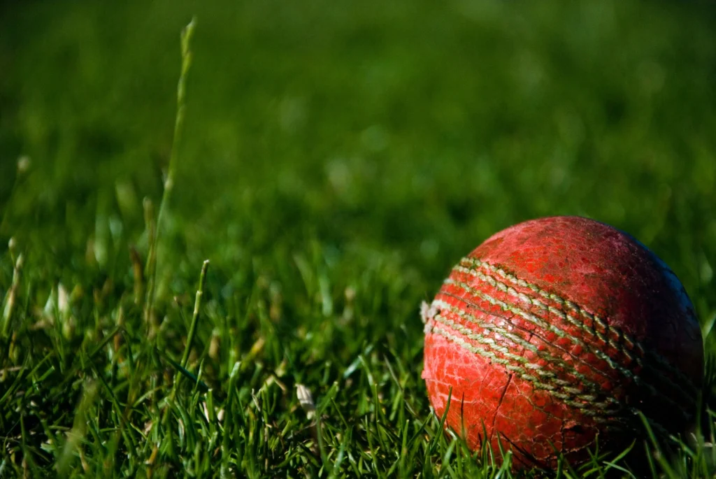 Big Bash Cricket