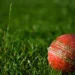 Big Bash Cricket