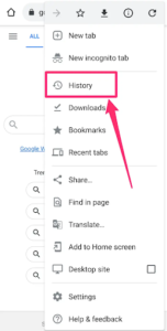 cookies in chrome 8