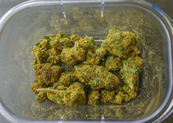 What Is The Right Time To Consume Full-Spectrum CBD Oil?