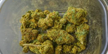 What Is The Right Time To Consume Full-Spectrum CBD Oil?