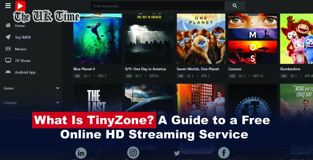 What Is TinyZone