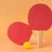 Table Tennis sports